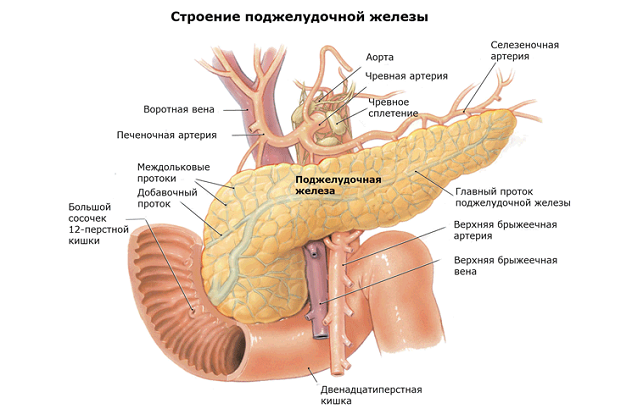Панкреатит (воспаление поджелудочной железы) хронический, острый у взрослых: симптомы, лечение