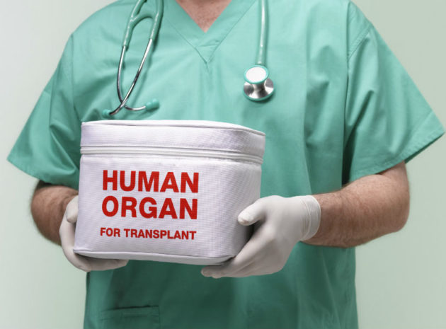 органы для трансплантации