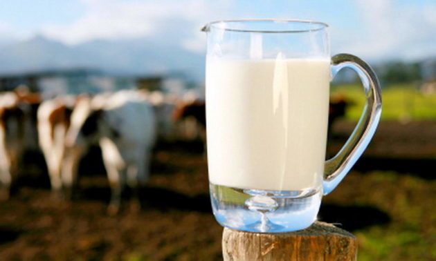 Непастеризованное молоко может спровоцировать пищевое отравление